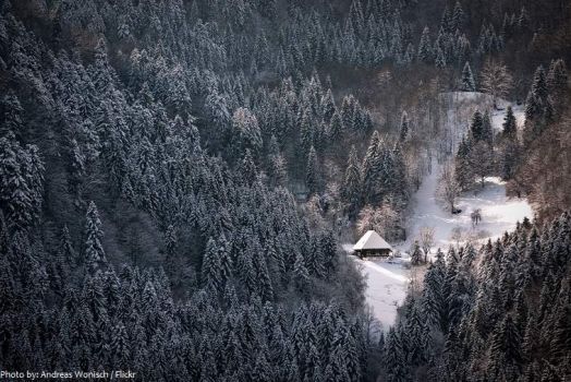 black-forest  winter scene  AA
