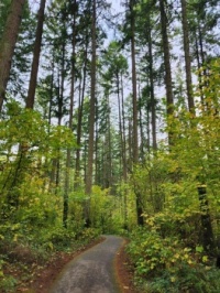Hiking in Oregon 3