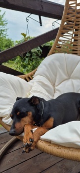 Bonnie's nap time.