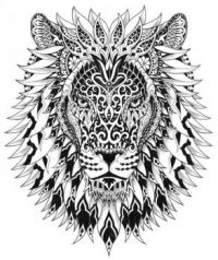 Tiger Drawing