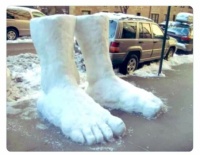 We had Two Feet of Snow