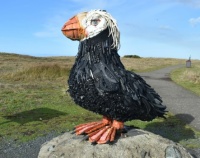 Beach Upcycle Puffin