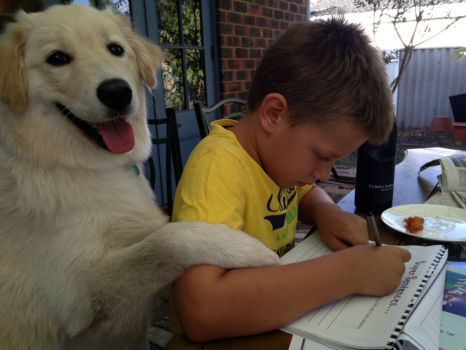 Jaffy helps Luke with homework.