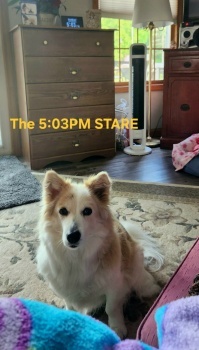 Mabel telling me it's time  . . .