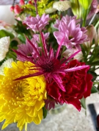 Pretty flowers from the hubby