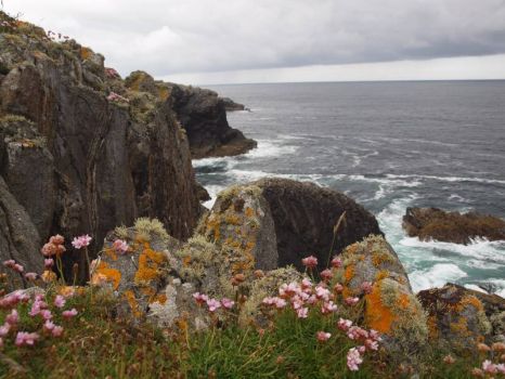 Solve the Black Isle, Inv erness, Scotland - neither black nor an isle ...
