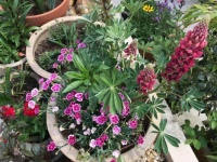 62187211_10156879400155100_1829450858853564416_n