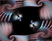 two_birds_from_paradise