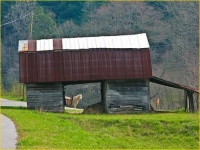 Old barn and horse