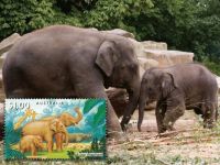 Commemorative Stamps 6