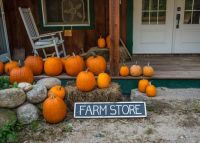Farm Stand With Pumpkins, Little Field Farm, Madison N.H.