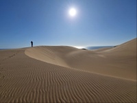 Dunes on the coast