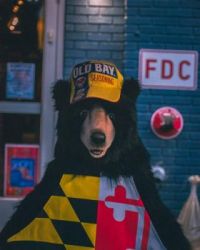 Maryland Old Bay Bear