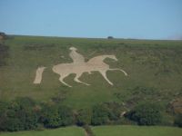 white horse on hillside in dorset 
