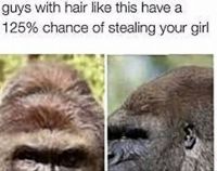 Harambe Will Steal Your Girl