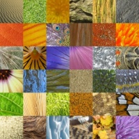 Nature patterns