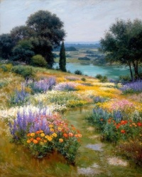 far vista (resize 12 to 195)