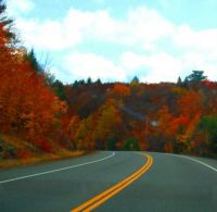 Autumn color2