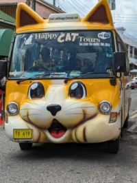Cat Tour Bus in Antigua