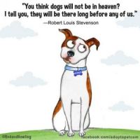 Dogs in Heaven