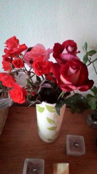 pár růží do vázy