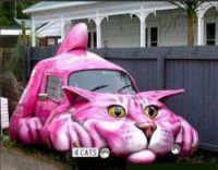 Car cat!!