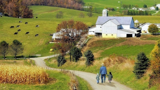 Summer Rural Landscape Jigsaw Puzzle Online