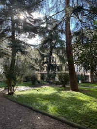 Mia's quadrangle