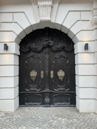 Exciting Door