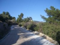 The turkish road to my paradise