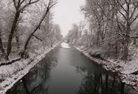 Danube 2020