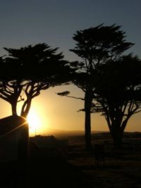 Sunrise in the Point Arena, CA