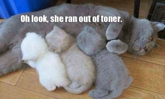 Oh look, she ran out of toner