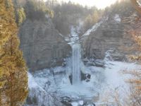 Ithaca, NY