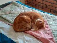 Leave me alone!