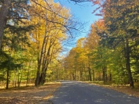 Peak Color - Gold Season