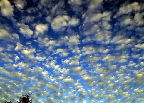Popcorn Sky