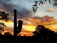 Tucson sunset