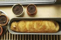 This Looks Like a Nice Loaf of Bread
