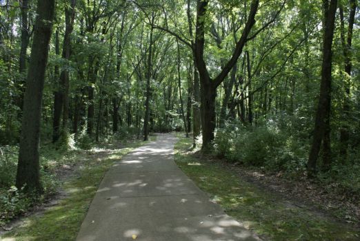 A trail at Rend Lake, southern Illinois.