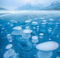 . Frozen air bubbles in Abraham Lake.
