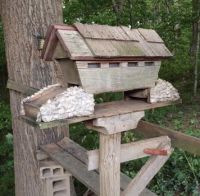Awesome bird feeder