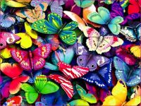 Bed of Butterflies
