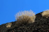 Teneriffa