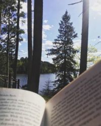 Good Book, View & Hammock