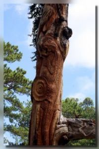 Carved tree