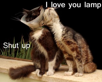 Love you lamp!