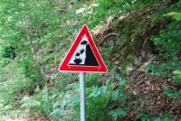 FALLING SHEEP EDERSEE