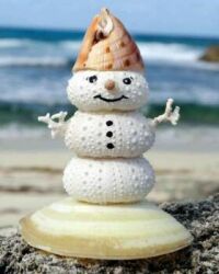 Snowman at the Beach