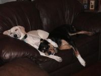 Best Friends